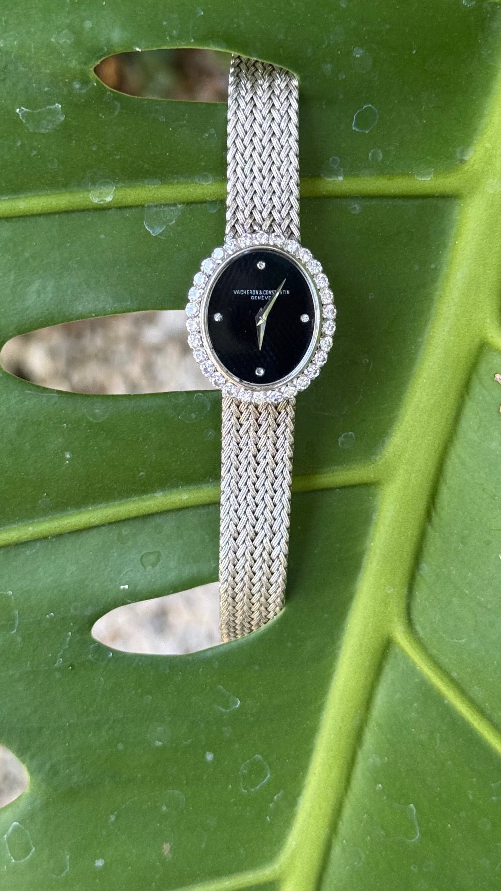 vacheron constantin black Onyx dial