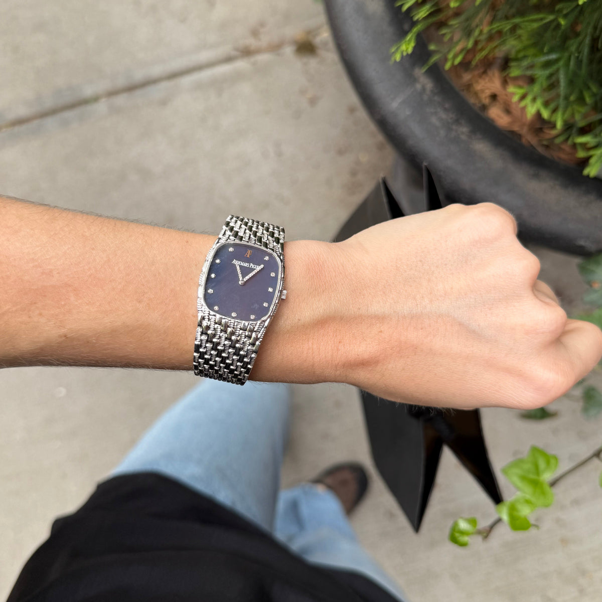 1990s AP cobra in 18ct white gold